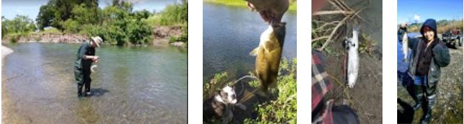 fishing on russian river in sonoma